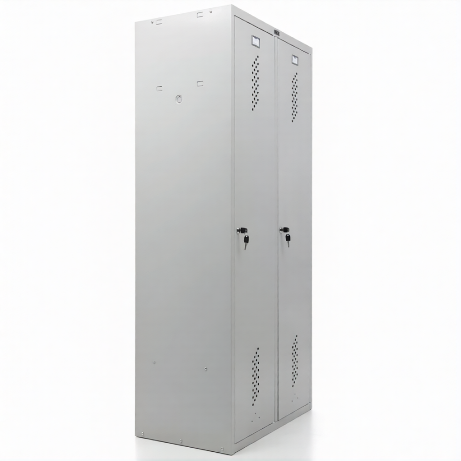 Шкаф ПРАКТИК LS-21-80D