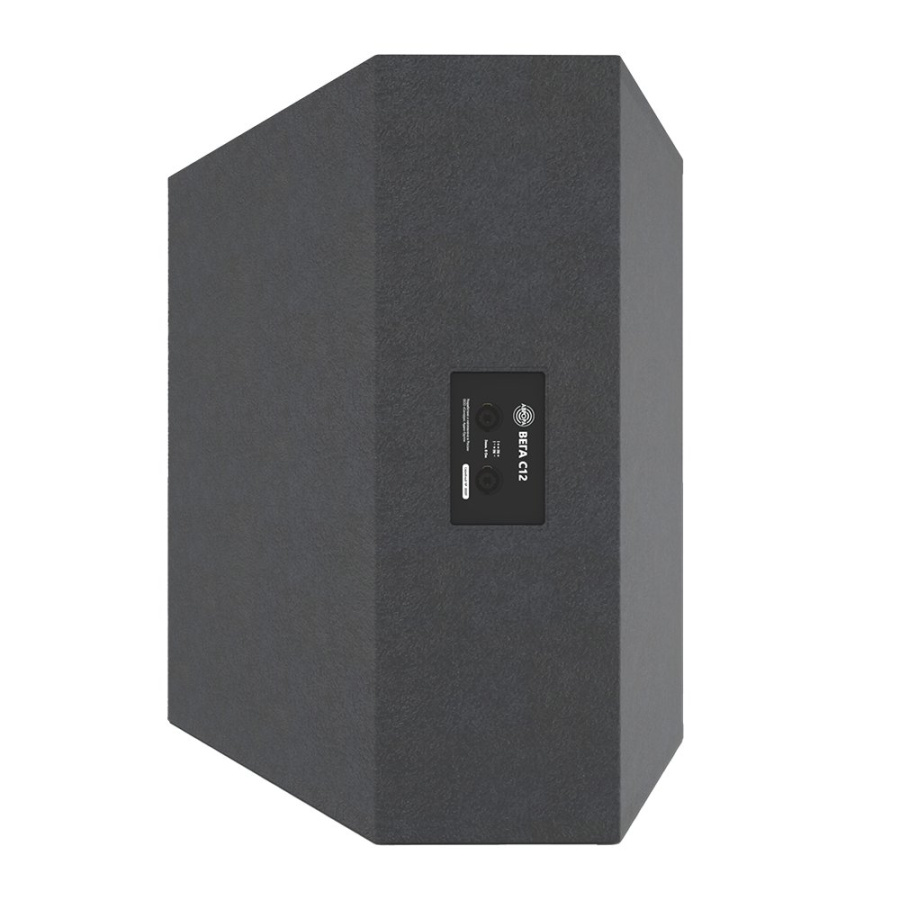 Акустическая система коаксиального типа АВРОРА С12